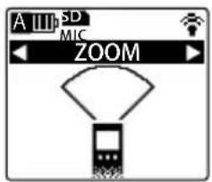 A SD MIC ZOOM