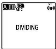 A M P S D MIC ST DIVIDING