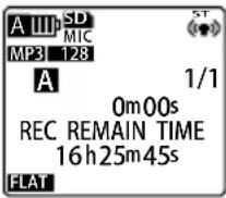 SANYO Xacti ICR-EH800D - Switching information display - 1