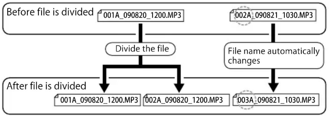 SANYO Xacti ICR-EH800D - ■ How the file division function works and how file names are determined - 1