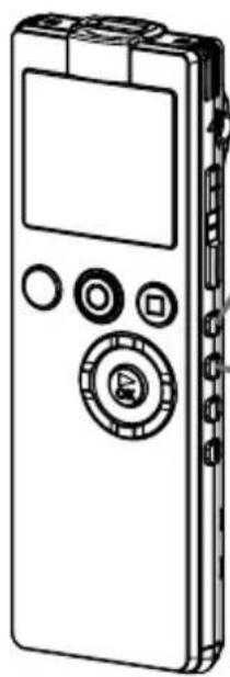 SANYO Xacti ICR-EH800D - About the screens - 5