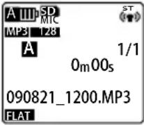SANYO Xacti ICR-EH800D - Switching information display - 6