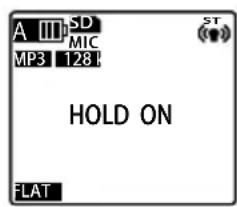 A III SD MP3 128 HOLD ON FLAT