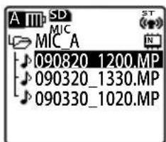 A SD MIC MIC_A 090820_1200.MP 090320_1330.MP 090330_1020.MP