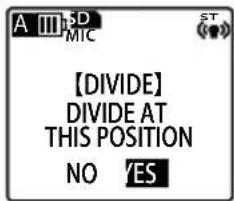 A III D MIC 【DIVIDE】 DIVIDE AT THIS POSITION NO YES