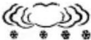 Taylor 1383-21 - ② Set Current Weather Conditions - 6