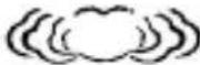 Taylor 1383-21 - ② Set Current Weather Conditions - 5