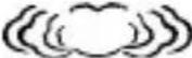 Taylor 1383-21 - ② Set Current Weather Conditions - 4