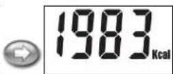 Taylor 5704 - How to Take a Weight / Cal-Max™/ BMI Reading - 5