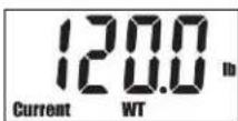 Taylor 5704 - How to Take a Weight / Cal-Max™/ BMI Reading - 1