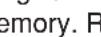 SHARP XEA-506 - Summary of Reading (X) and Resetting (Z) Reports - 125