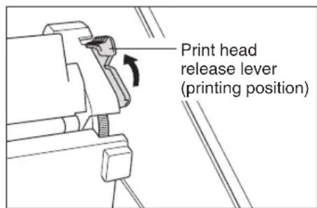 Print head release lever (printing position)