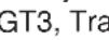 SHARP XEA-506 - Summary of Reading (X) and Resetting (Z) Reports - 110