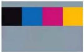 ZEBRA ZXP S8 - OCP Test Card Images - 9