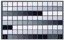 ZEBRA ZXP S8 - OCP Test Card Images - 14