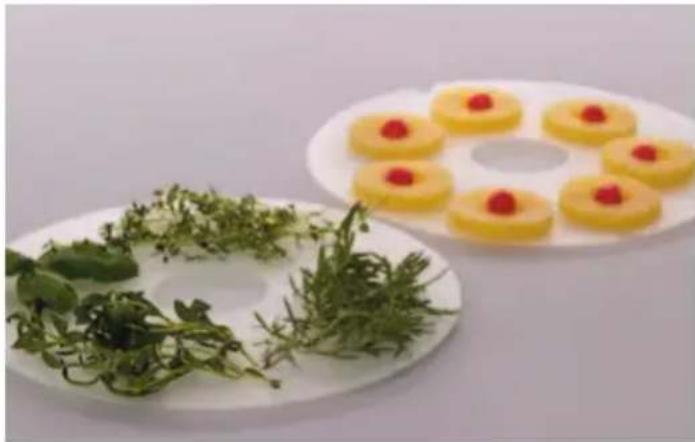 Nesco FD-39P - ACCESSORIES - 1