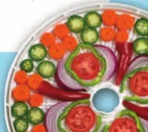 Nesco FD-39P - Dehydrator & jordy maker - 2