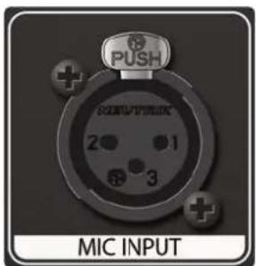 PUSH 2 1 3 MIC INPUT