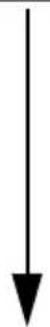 ECLIPSE AVN6620 - Switching the map reduction scale - 3