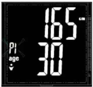 16.5 cm 16.5 30 30 PI age