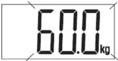 600.0 kg