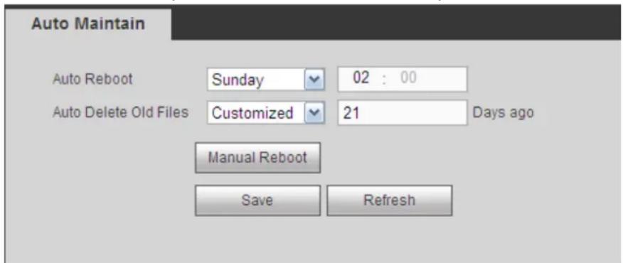 Auto Maintain Auto Reboot Sunday 02 : 00 Auto Delete Old Files Customized 21 Days ago Manual Reboot Save Refresh