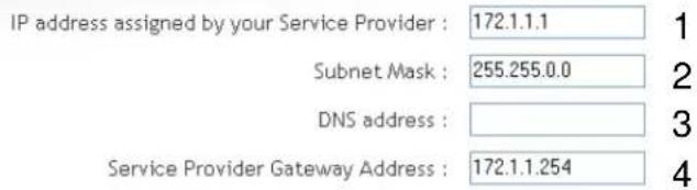 IP address assigned by your Service Provider : 172.1.1.1 Subnet Mask : 255.255.0.0 DNS address : Service Provider Gateway Address : 172.1.1.254