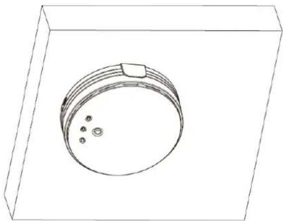 LEVELONE WAP-8101 - Mounting on the Ceiling / Wall - 6