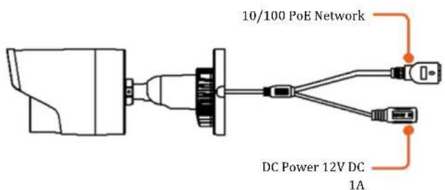 10/100 PoE Network DC Power 12V DC 1A