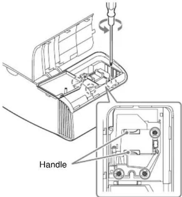 Handle