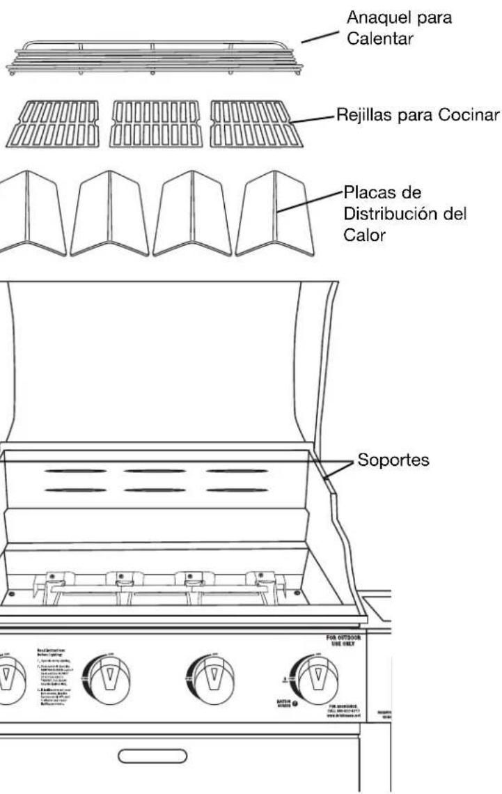 Brinkmann 810-8412-SB - Paso 17 - 2