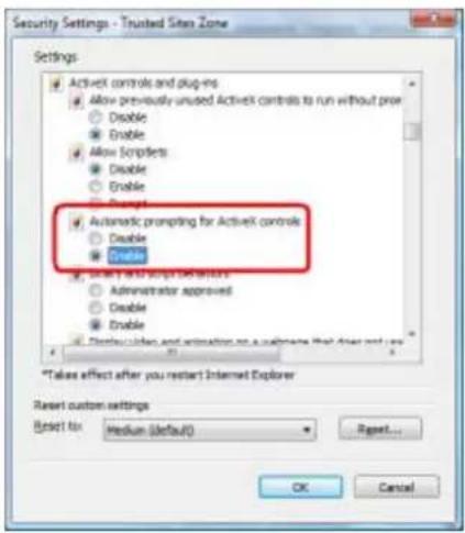 Planet ICA-3550V - Internet Explorer 7 for Windows Vista - 3