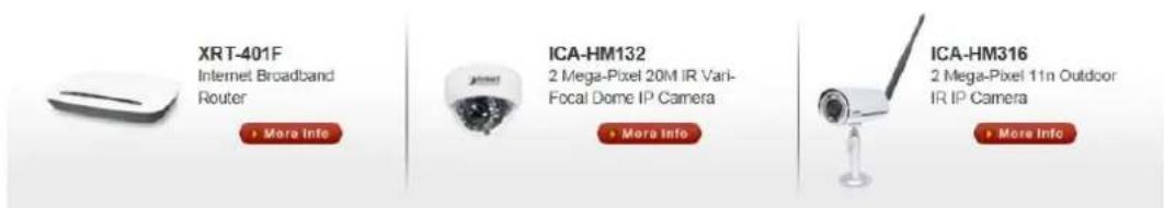 Planet ICA-3550V - Configuring PLANET DDNS steps: - 2