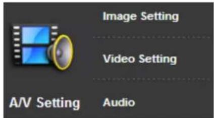 Planet ICA-3550V - A/V Setting - 1