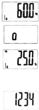 600 0 250 1234