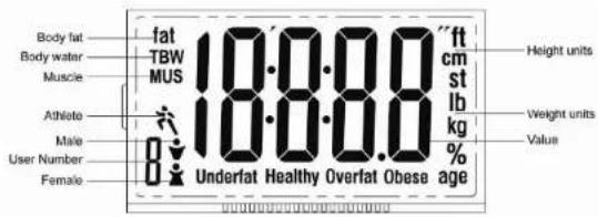 Body fat Body water Muscle Athlete Male User Number Female fat TBW MUS 10.0.0.0 10.0.0.0 8 Underfat Healthy Overlat Obese age ft cm st lb kg % Height units Weight units Value