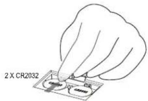 2 X CR2032