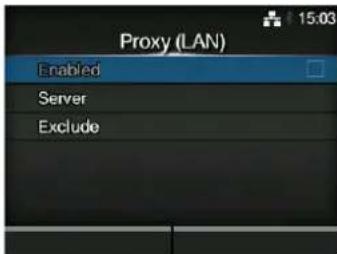 Proxy (LAN) Enabled Server Exclude