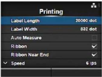 SATO CL608NX - Printing Menu - 1