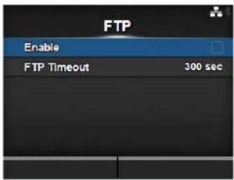 FTP Enable FTP Timeout 300 sec