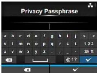 Privacy Passphrase a b c d e f g h i j < > k l m n o p q r s t 1 2 3 u v w x y z - , _ - Shift X @ ! ? ✓