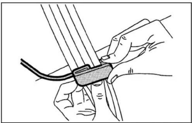 Buick Lacrosse (2006) - Rear Safety Belt Comfort Guides - 2