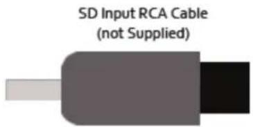 SD Input RCA Cable (not Supplied)