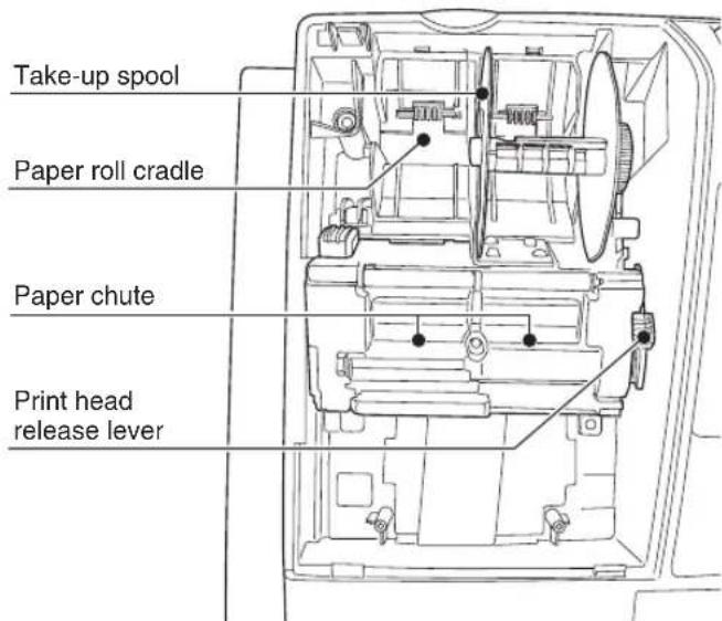 Take-up spool Paper roll cradle Paper chute Print head release lever