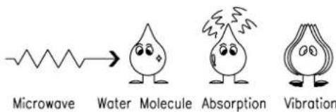 Microwave Water Molecule Absorption Vibration