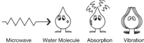 Microwave → Water Molecule Absorption Vibration