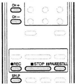 CH+ CH- REC STOP IPauseSTILL SP/LP