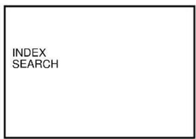 INDEX SEARCH