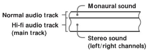 Normal audio track Hi-fi audio track (main track) Monaural sound Stereo sound (left/right channels)