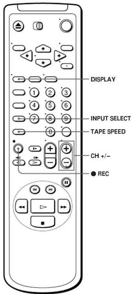 DISPLAY INPUT SELECT TAPE SPEED CH +/- REC
